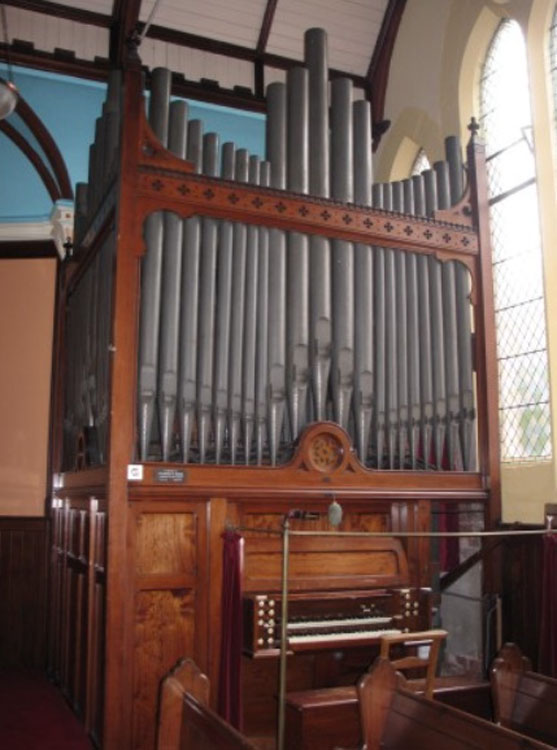 Young organ available for rehousing