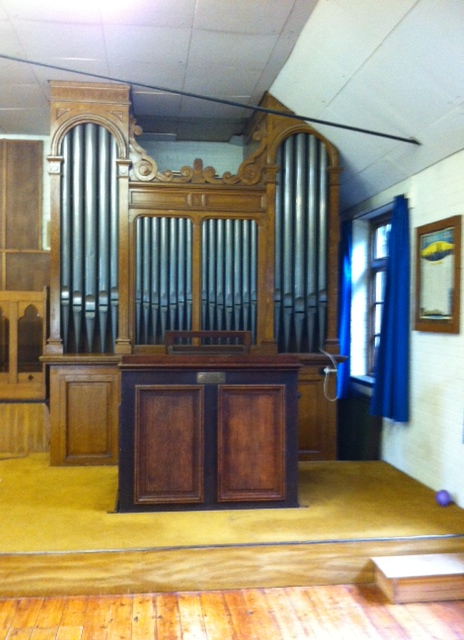 Merkin organ available for rehousing