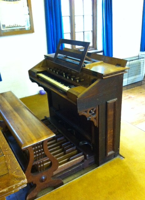 Merkin organ available for rehousing