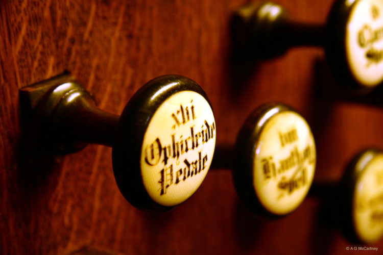 PrestonStGeorgePC_014