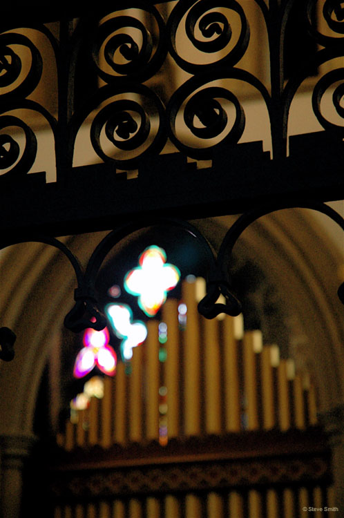 DSC_1977