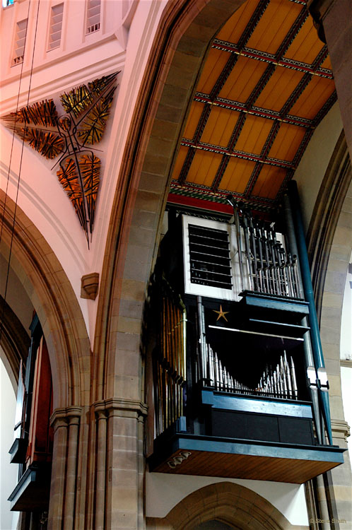 DSC_1991