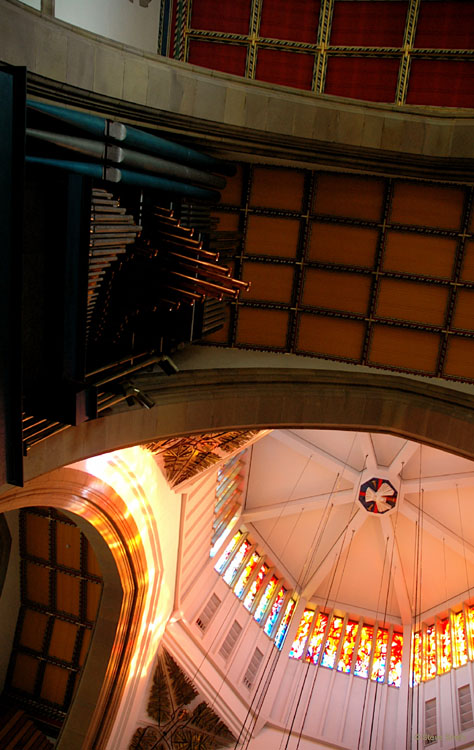 DSC_2002
