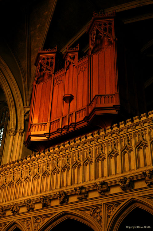 DSC_0927